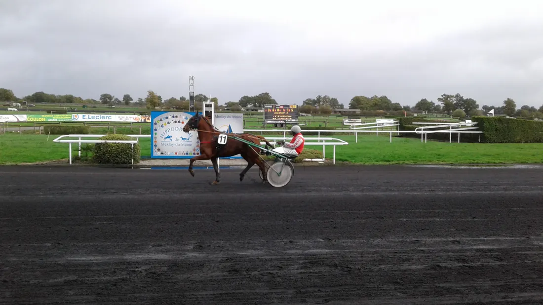 Les pronostics hippiques pour ce dimanche 16 mars